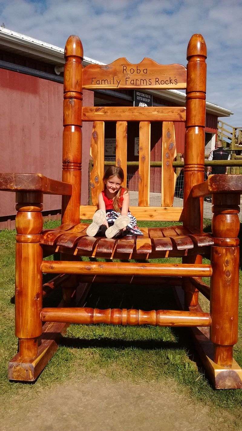Kids Can Bounce, Slide, And Climb Until Bedtime