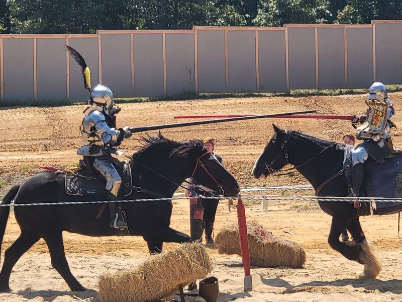 Knights and the Jousting Arena Knights and the Jousting Arena