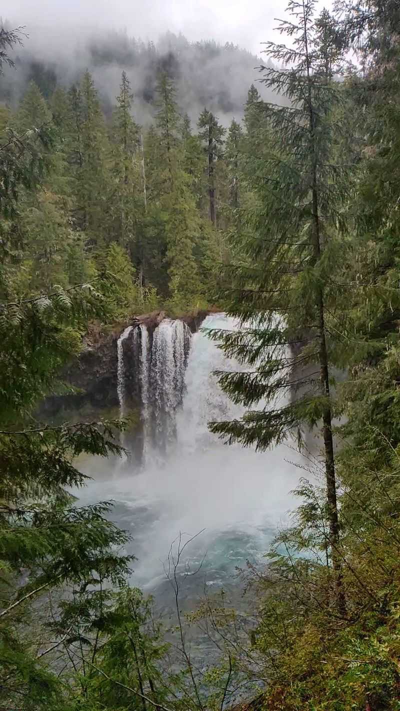 Koosah Falls Steals Hearts