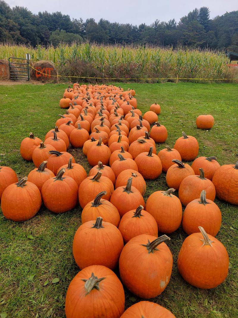 Krochmal Farms: Check the Fall Event Details in Tewksbury