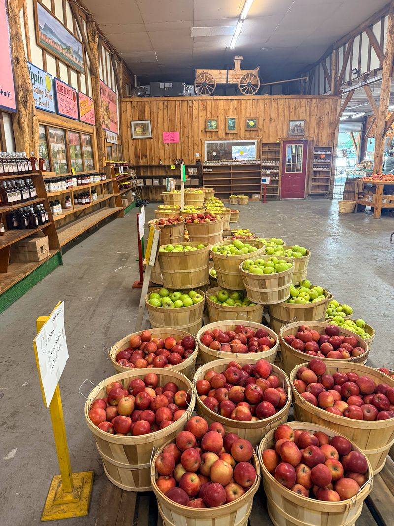 Dozens Of Apple Varieties Ripen Throughout The Season