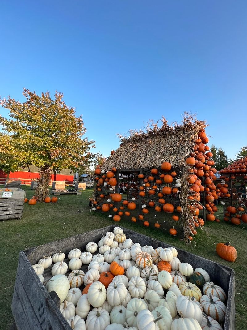 All Seasons Orchard (Woodstock) All Seasons Orchard (Woodstock)