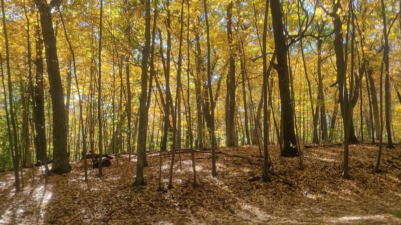 Lace Up Because These Trails Go On And On Lace Up Because These Trails Go On And On