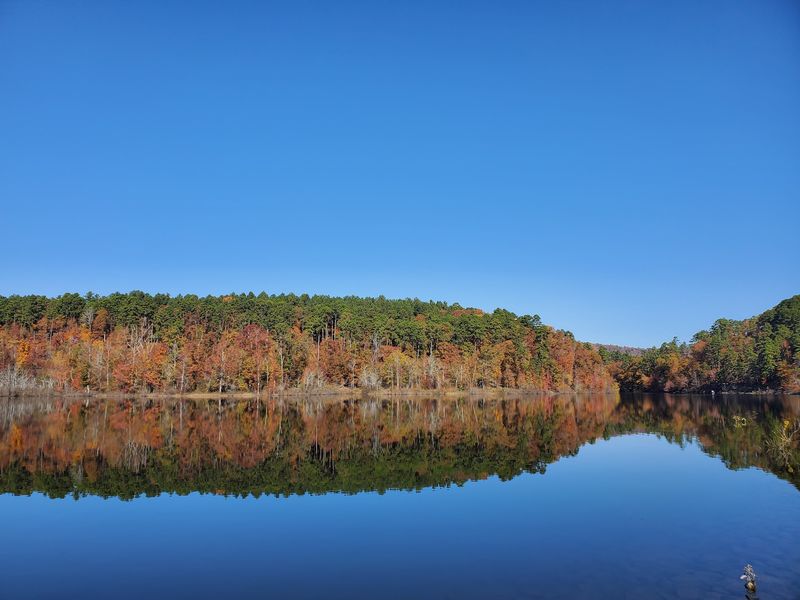 Lake Ouachita State Park, Mountain Pine, AR