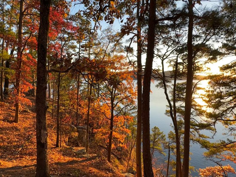 Lake Ouachita State Park, Mountain Pine, AR Lake Ouachita State Park, Mountain Pine, AR