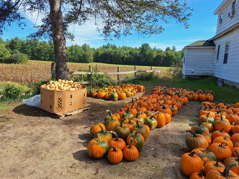 Lawndale Farm: Give Tyngsborough a Place on Your Route