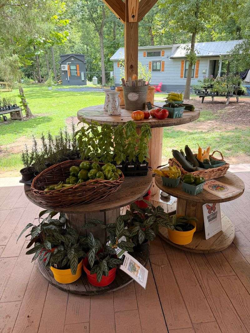 Lemonade, Vendors, and Wednesday Markets