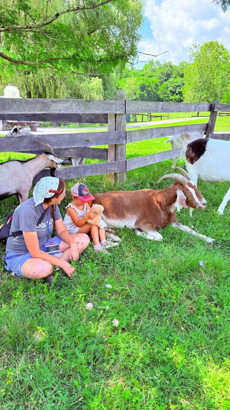 Lessons That Linger After The Gate