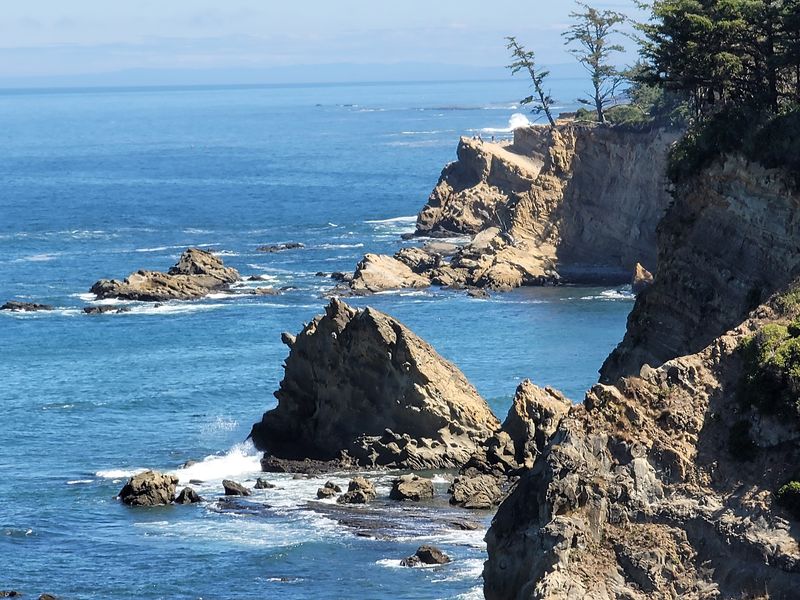 Life on the Edge of the Pacific Life on the Edge of the Pacific