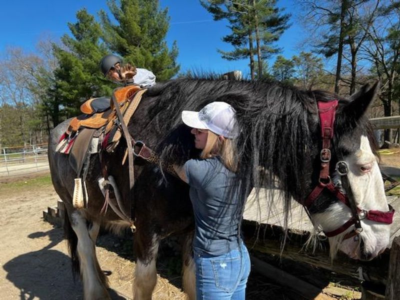 Little Cowpokes Get Their Own Pony Moment