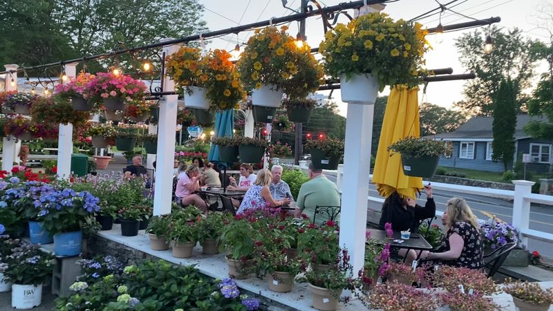 Living Greenery With a Shopping Side Living Greenery With a Shopping Side