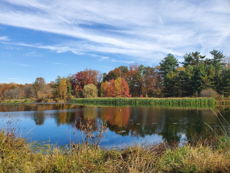 Loantaka Brook Reservation, Morristown, NJ Loantaka Brook Reservation, Morristown, NJ