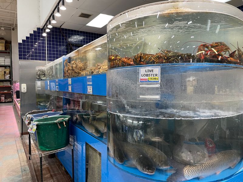 Lobsters From Faraway Waters