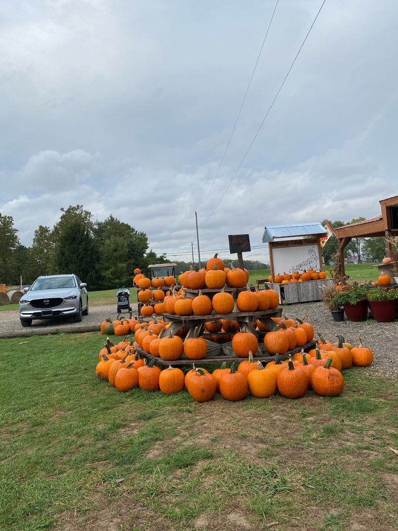 Lohstroh Family Farms, Mount Sterling