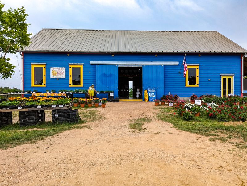 Look For The Big Blue Barn And You've Arrived