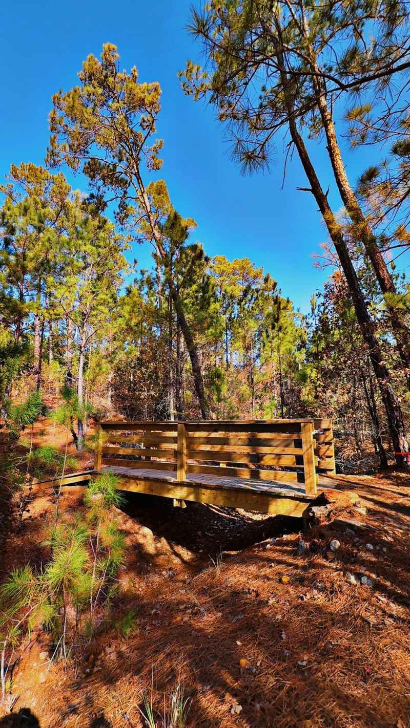 Lost Pines Loop - Bastrop State Park (Bastrop)