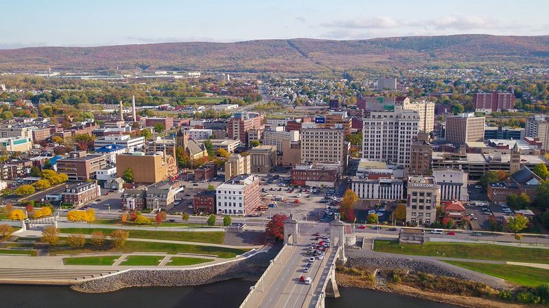 Luzerne County: Bear Awareness Along the Valley's Edges Luzerne County: Bear Awareness Along the Valley's Edges