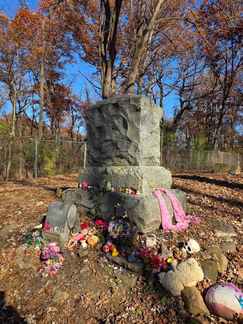 Bachelor's Grove Cemetery (Near Midlothian)