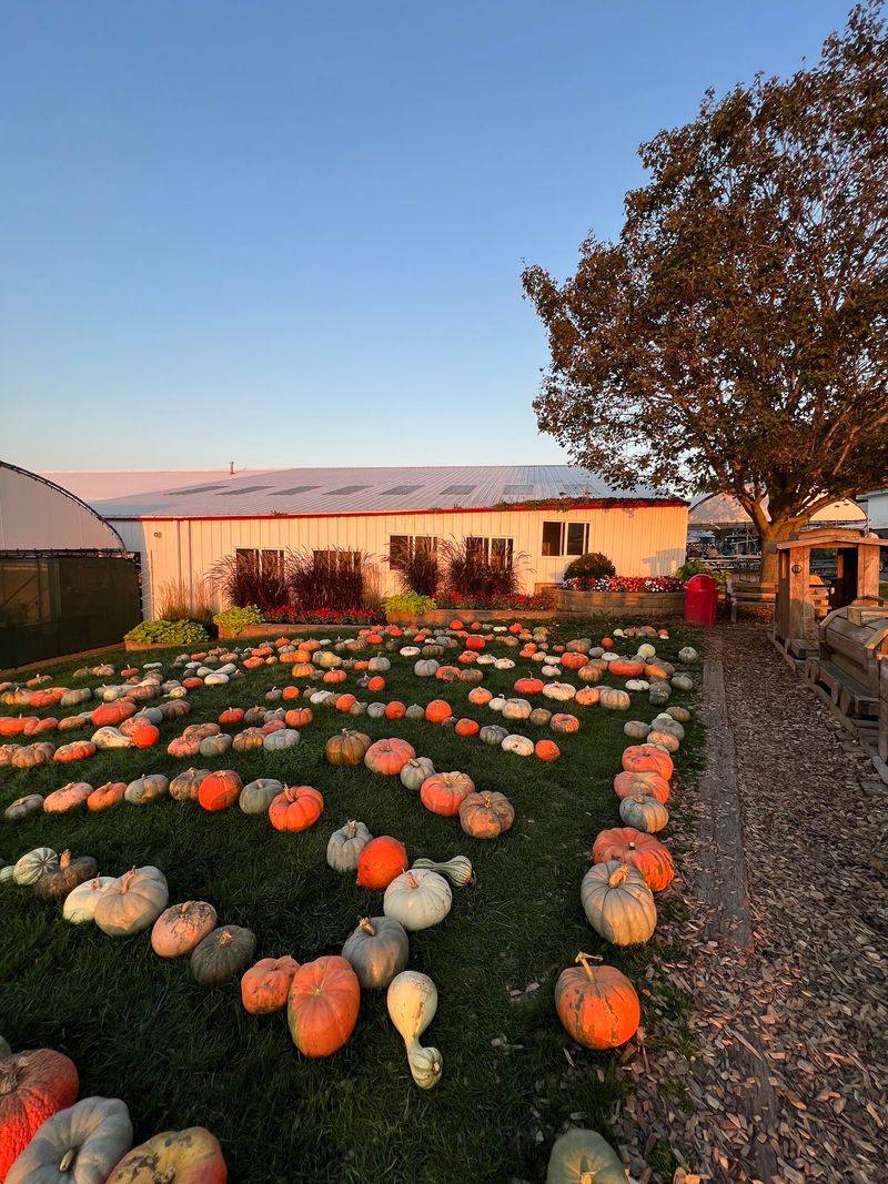 Tanners Orchard (Speer) Tanners Orchard (Speer)