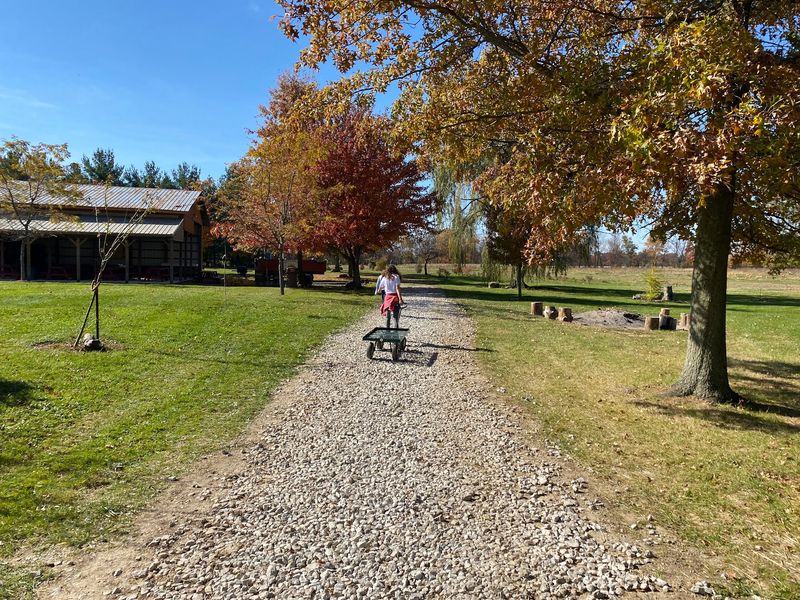 Make The Most Of A Fall Day On The Farm
