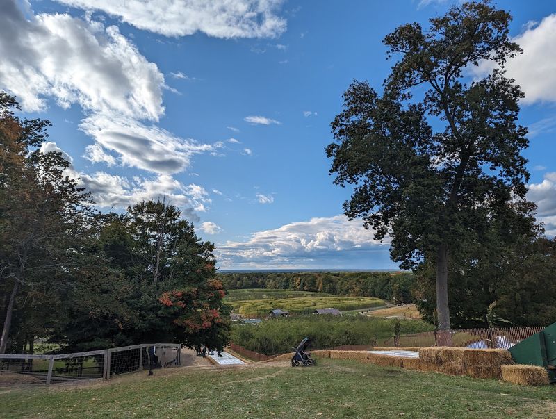 Mapleside Farms Pumpkin Village