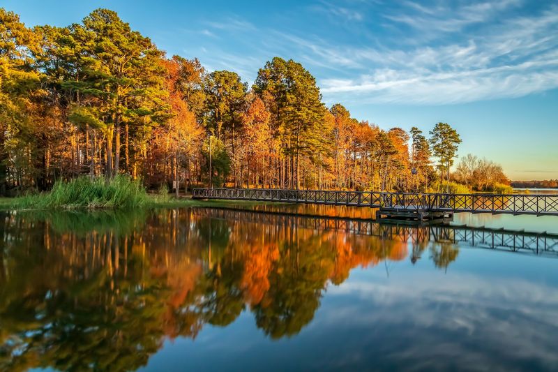 Martin Creek Lake State Park (Tatum) Martin Creek Lake State Park (Tatum)