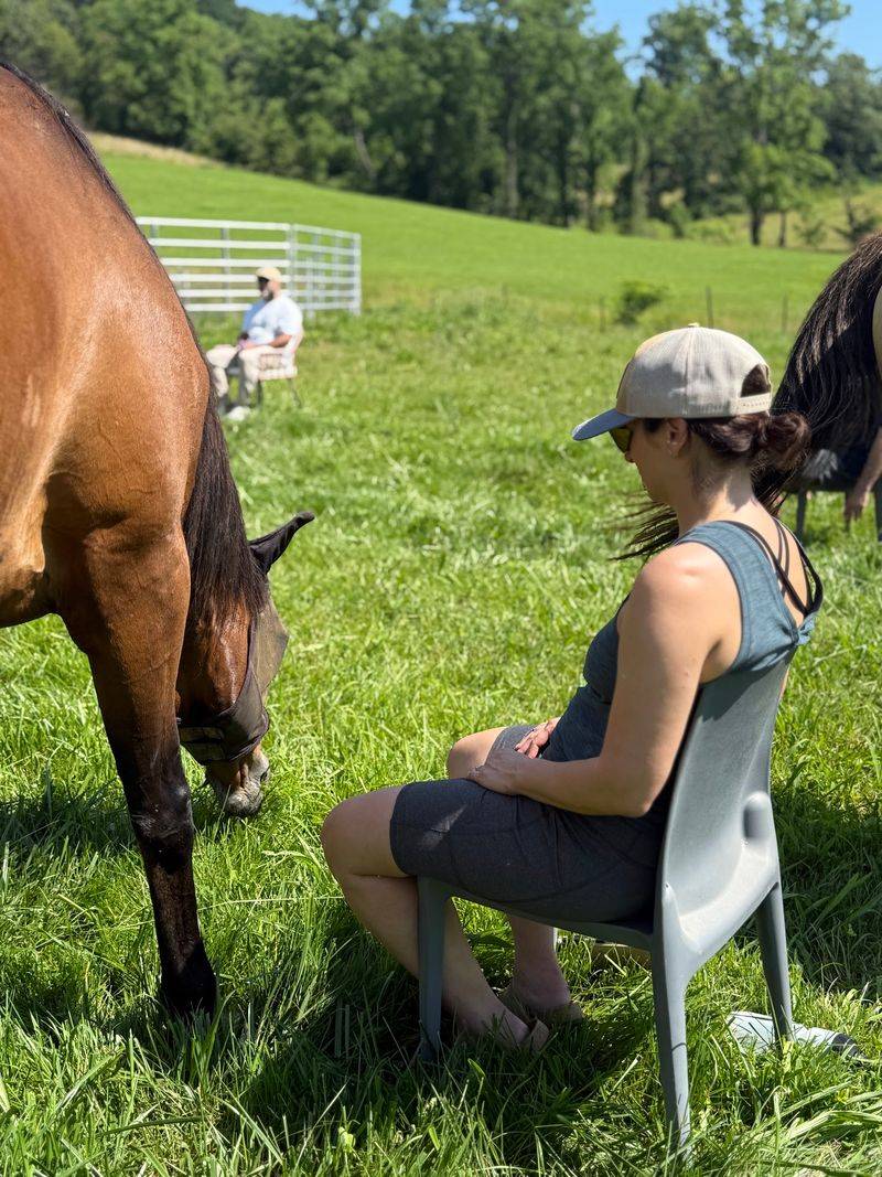 Meditation Among the Herd