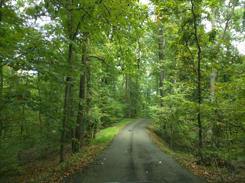 Meeman-Shelby Forest State Park, Millington, TN