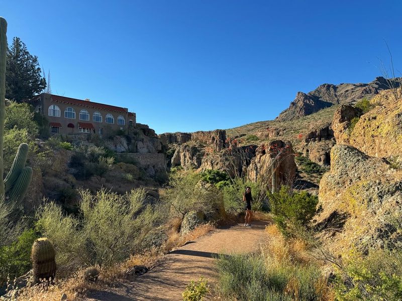 Miles of Trails and One Main Loop