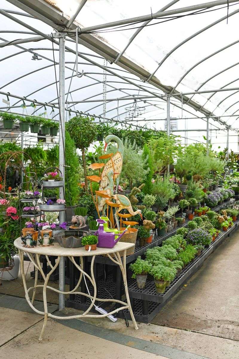 Millstone Market & Nursery, Germantown, TN
