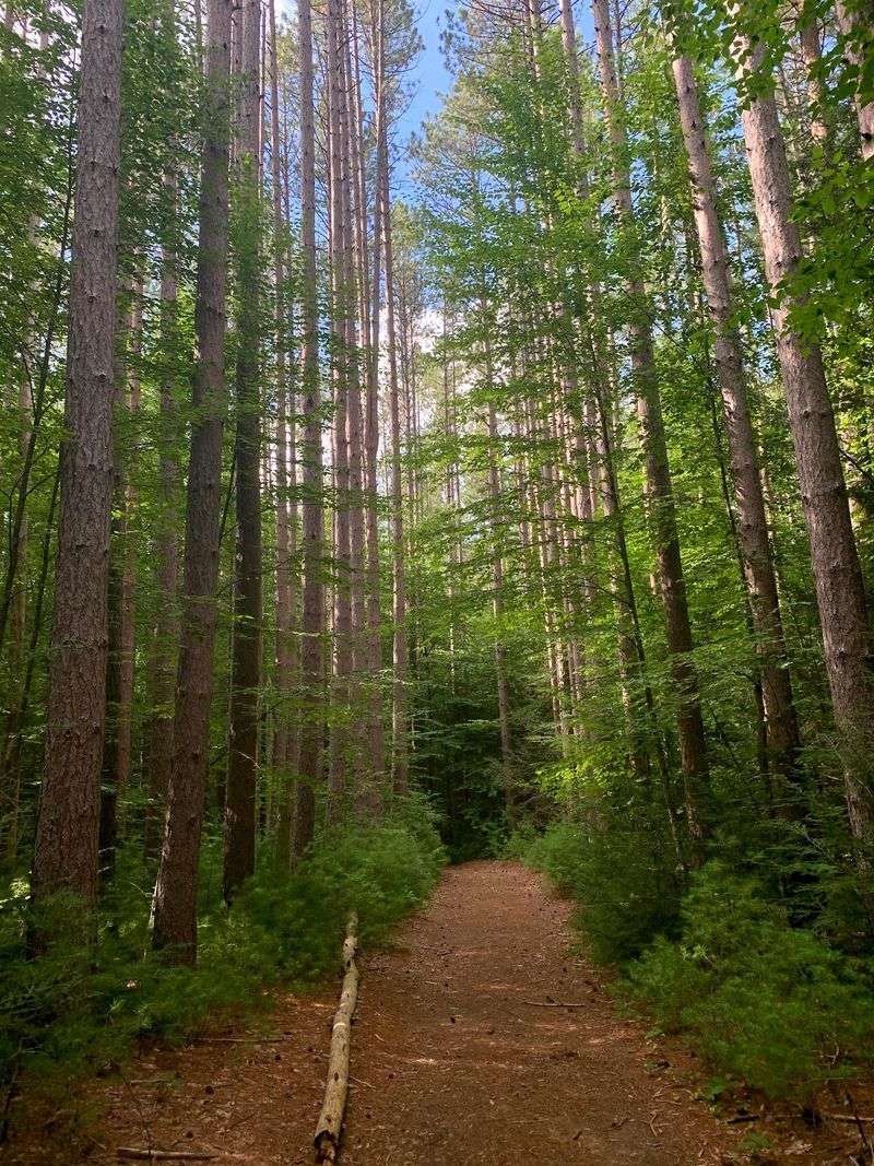 Mohawk Trail State Forest Mohawk Trail State Forest