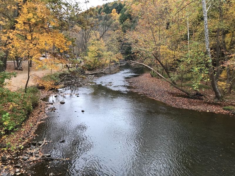 Mohican State Park: A Forest Getaway With Gorge Views