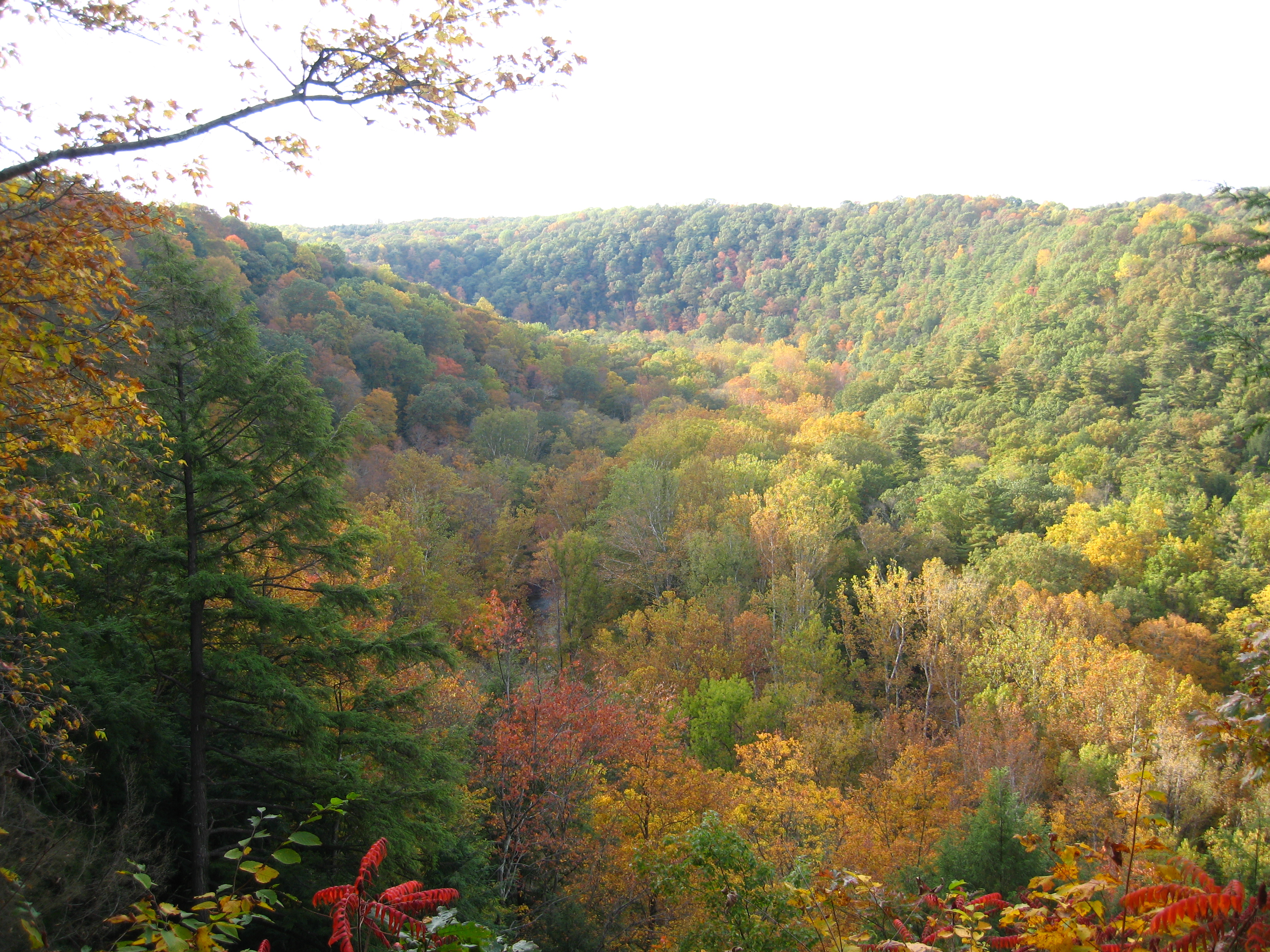 Mohican State Park, Loudonville