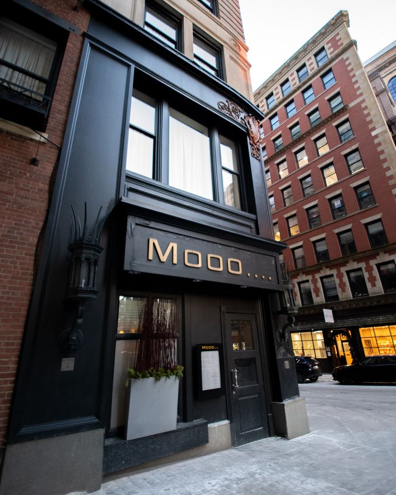 Mooo Mooo