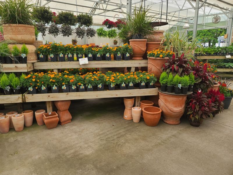 Moore & Moore Garden Center, Nashville, TN