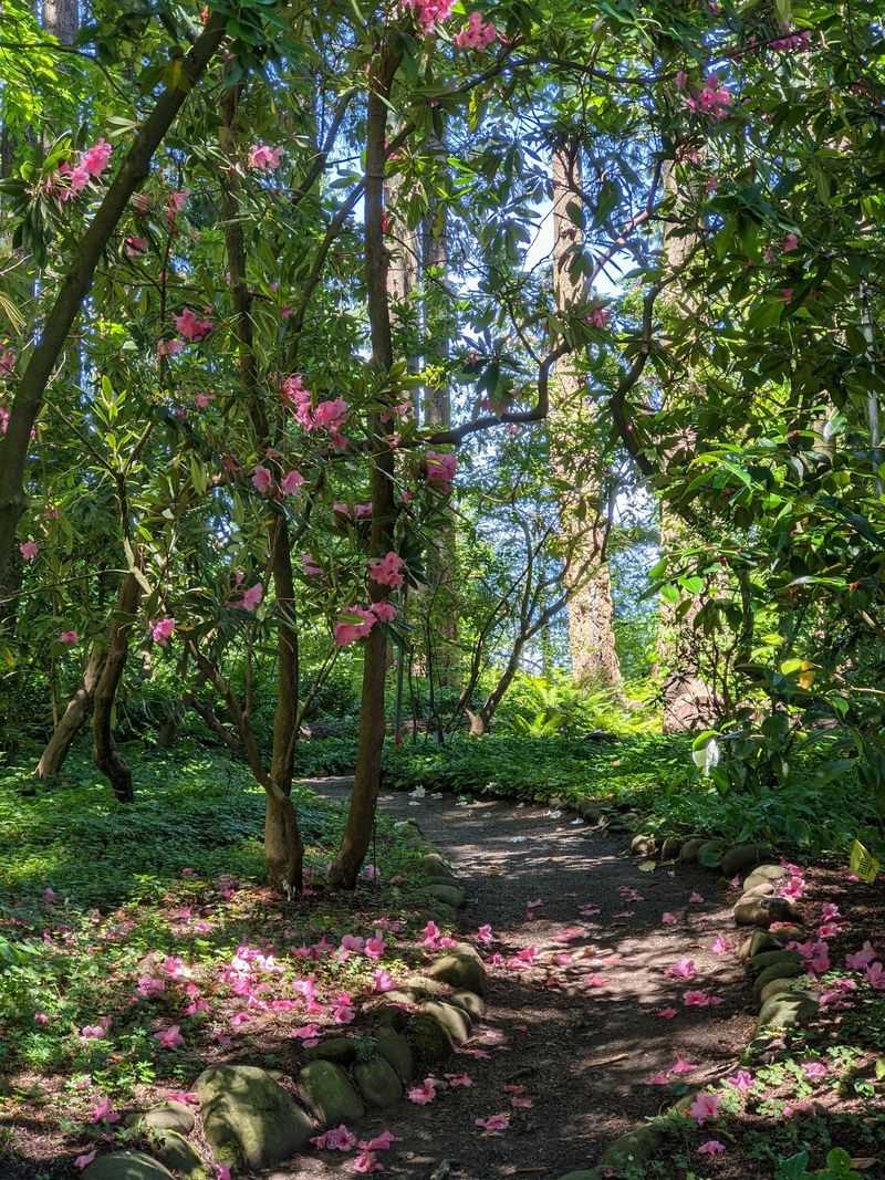 More Than 2,000 Species on the Grounds More Than 2,000 Species on the Grounds