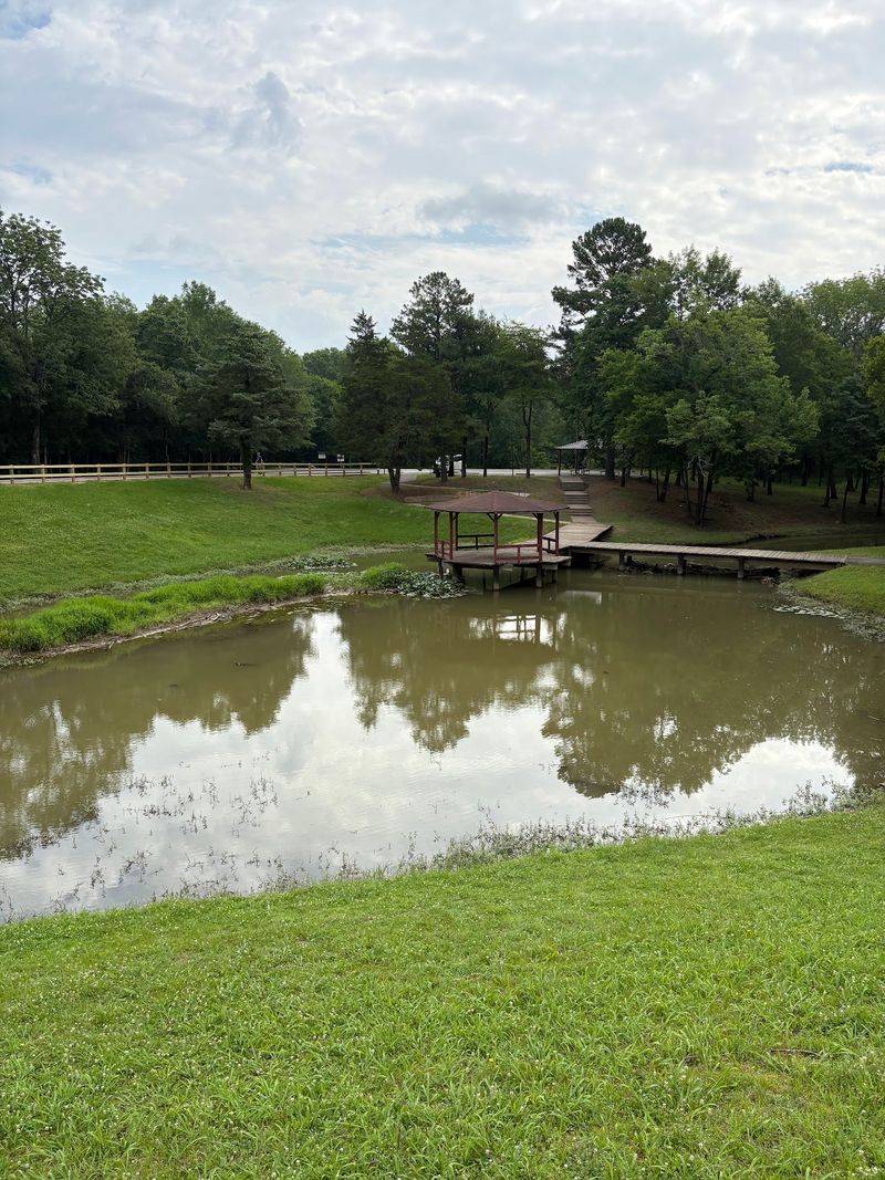 More to Do Around Burns Park