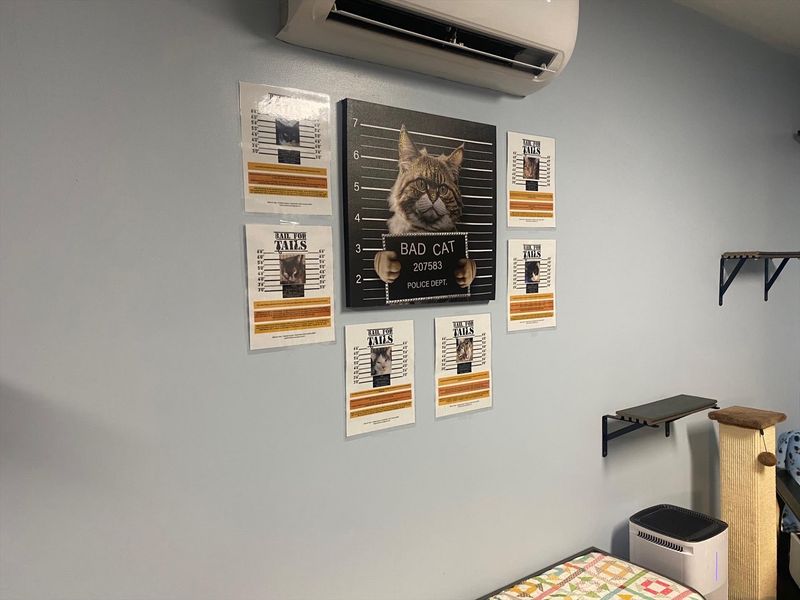 Most Wanted Posters on the Walls Most Wanted Posters on the Walls