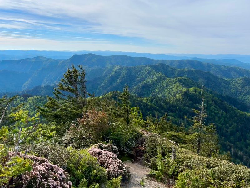 Mount LeConte Mount LeConte