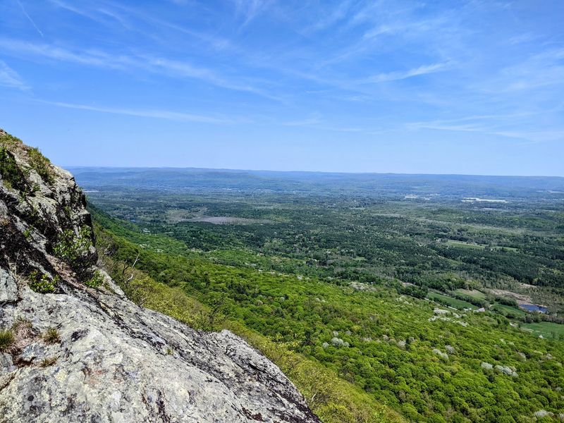 Mount Race