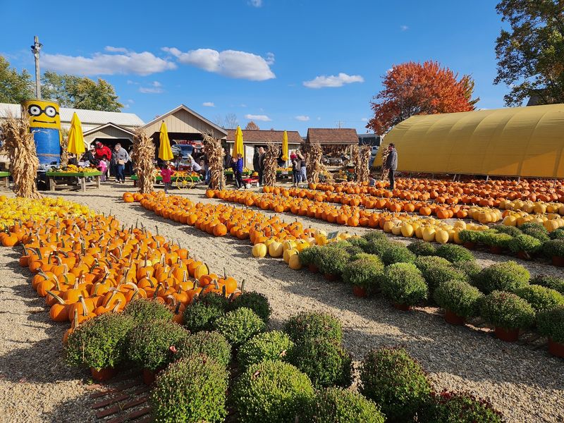 Mulberry Corner’s Pumpkins, Chesterland