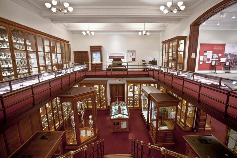 Mütter Museum: An Unusual Window into Medical History Mütter Museum: An Unusual Window into Medical History