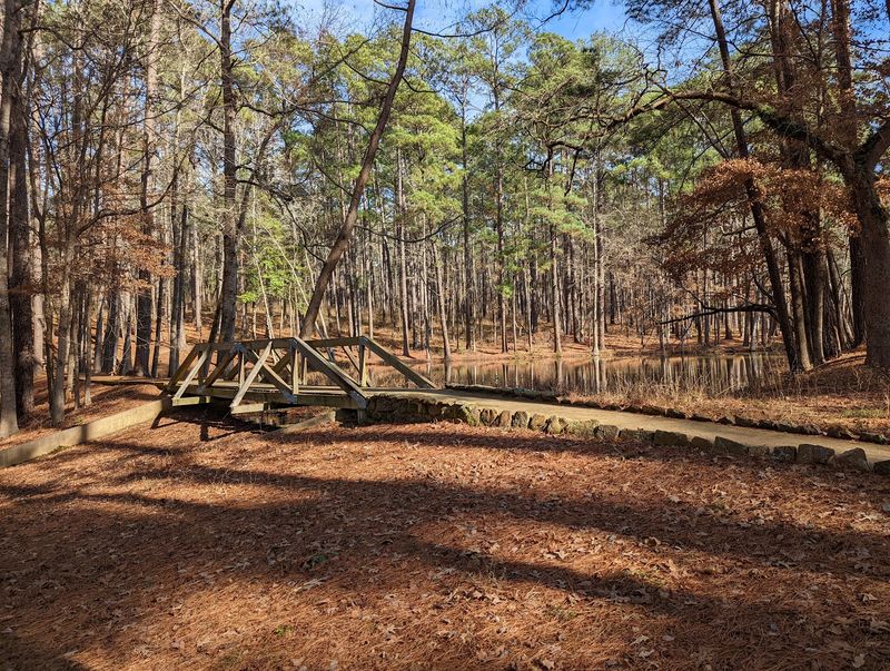 Nabedache Loop - Mission Tejas State Park (Grapeland)