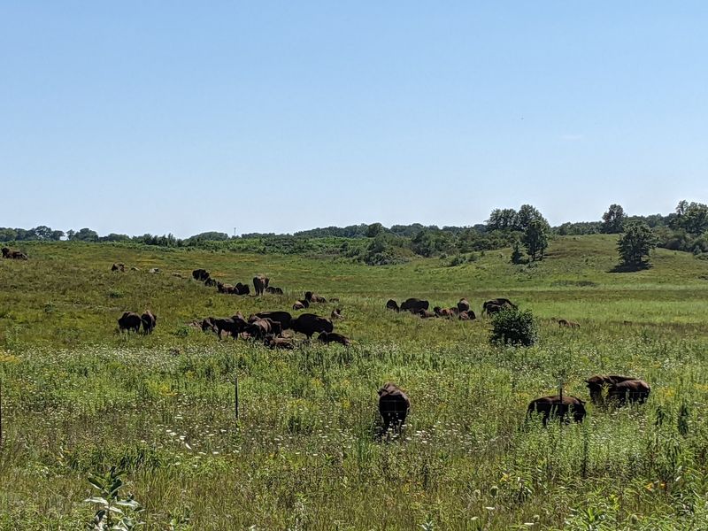 Nachusa Grasslands Nachusa Grasslands