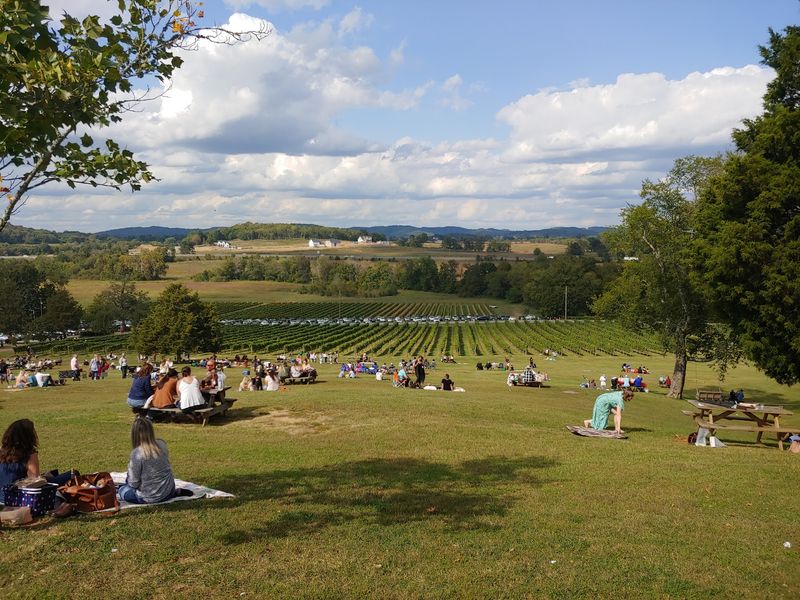 Nashville's Wine Country Sits Just 25 Miles From Downtown Nashville's Wine Country Sits Just 25 Miles From Downtown