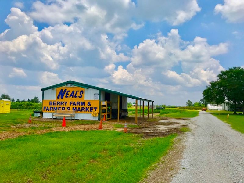 Neal’s Berry Farm (Waller)