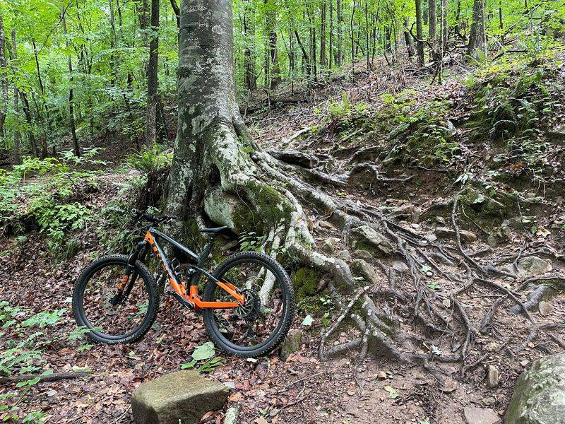 Nearly 30 Miles of Trails Wind Through This Rugged Mountain