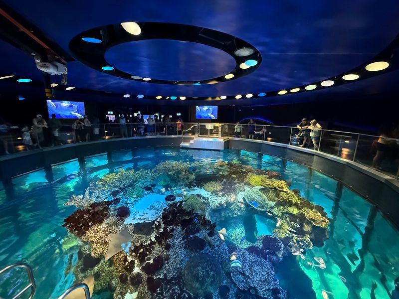 New England Aquarium New England Aquarium