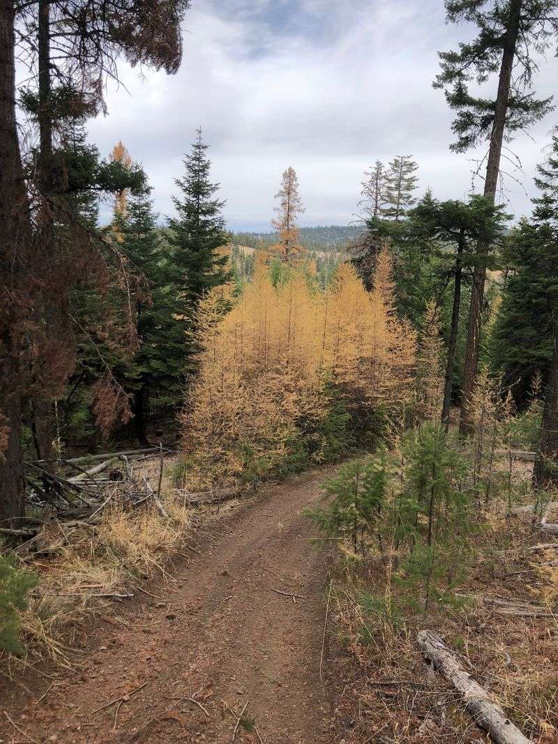 Nine Thousand Acres of Elbow Room