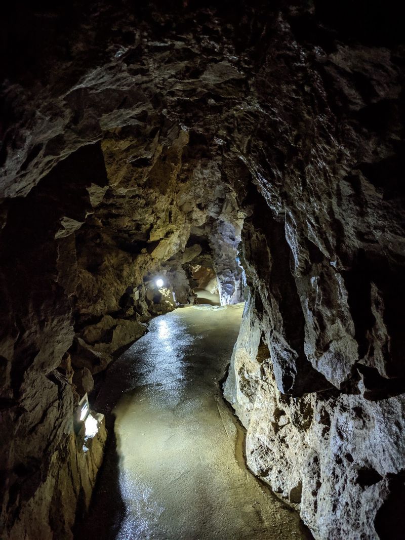 Ninety Minutes Underground